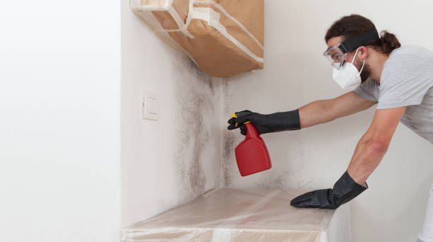 Professional Bathroom Mold Removal technician working in Temperanceville, VA
