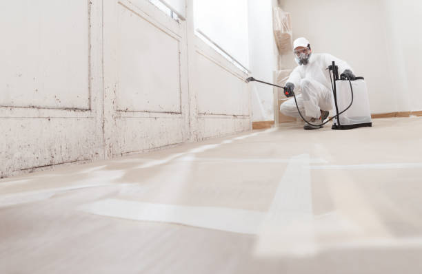 24/7 Emergency Bathroom Mold Removal experts in Temperanceville, VA